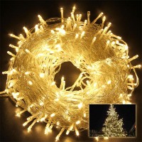 Decoration LED light Fairy Decorative Light 100 Led